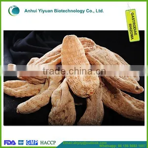 100% Top Grade Gastrodiae Elata Popular Gastrodia Tuer thumbnail-3