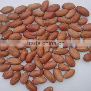 Chinese New Crop Peanut Kernels thumbnail-1