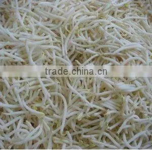 Canned Mung Bean Sprouts thumbnail-1