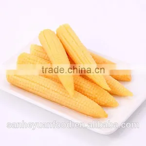 400g Good Quality Canned Baby Corn thumbnail-1