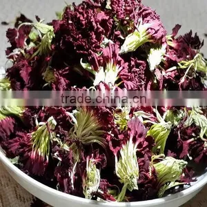 New Crops Dried Carnation thumbnail-1