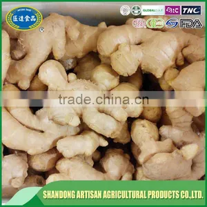 Air Dried Ginger thumbnail-1