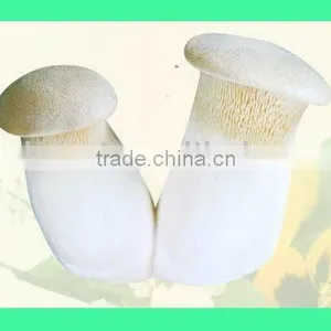 White Fungus thumbnail-1