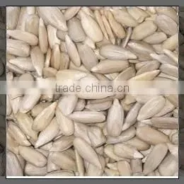 Chinese Sunflower Kernels Bakery Grade New Crop thumbnail-1