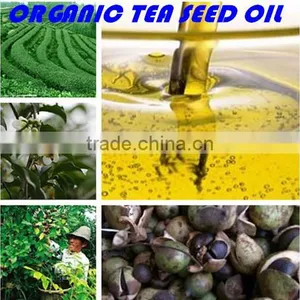 100% Pure Organic Green Tea Seed Oil/Top Manufacturer & Drafter for National Standard thumbnail-1
