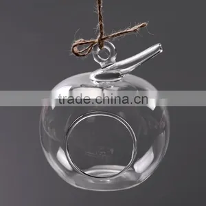Micro Landscape Ecological Meaty Plant Glass Vase Apple Shape thumbnail-3