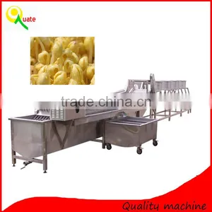 Bean Sprout Washing Machine|Soybean Sprout Washer|Leaf Vegetable Washing Machine thumbnail-5
