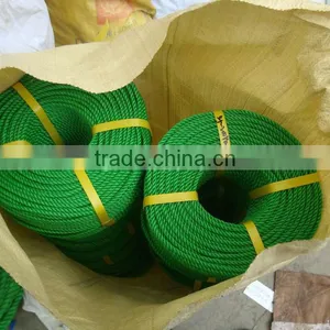 China Professional Leading Manufacturer PP Rope thumbnail-1