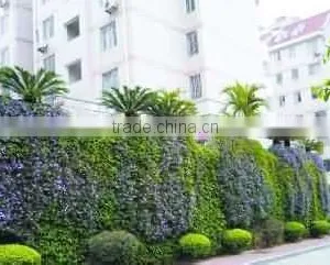 Plant Climbing Net thumbnail-1