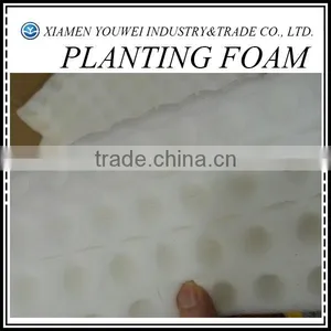Green Plant Foam/Green Foam For Plants thumbnail-1