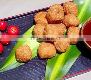 Soy Protein Texture thumbnail-1