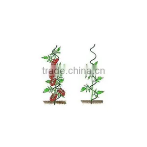 Galvanized Growing Tomato Spiral for Climbing Plant thumbnail-6