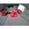 1.3-6mm Two Layers of Waterproof Paint Silver Mirror Glass With CE&ISO9001 thumbnail-1