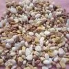 Pebble and Cobble,gravel thumbnail-1