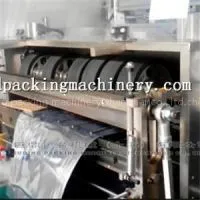 5L To 200L Capacity Automatic Bag In Box Bag Making Machine thumbnail-1