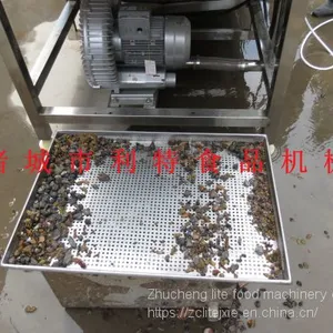 Raisin Washing Line Raisin Cleaner Raisin Processing Equipment thumbnail-2