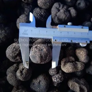 Factory Price Premium Quality Fresh Wild Black Truffle Mushroom (1-3CM) From China thumbnail-1