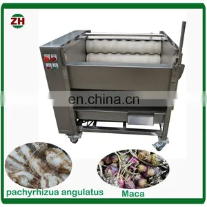 High Output Maca Dendrobe Washing Machine Yam Onion and Sweet Potato Peeling Machine thumbnail-7