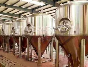 Red Copper Stainless Steel 500 Liter Beer Brewing Equipment Fermenting System Fermenter Fermentor for Bar thumbnail-1