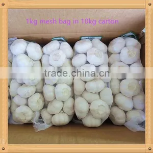 2016 New Crop Fresh Garlic in 10kg Mesh Bag and Carton China Export Garlic thumbnail-2