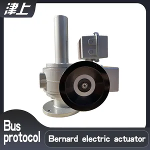 HART Bus Protocol BS-60/K30Z Intelligent Adjustment of the Electric Actuator thumbnail-1