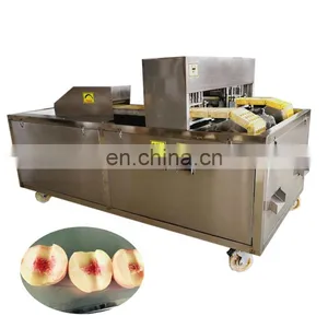 Peach Seed Removing Equipment Peach Nuclear Pitting Machine. thumbnail-4