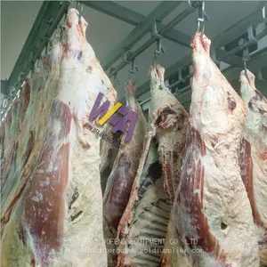 Professional Manufacture Butchery Equipment Machine For Cattle Slaughter Line thumbnail-4