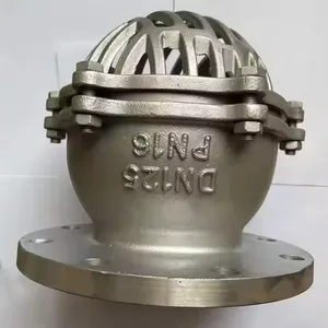 ANSI Bottom Foot Valve 150lb Stainless Steel Cast Steel Cast Iron Ductile Iron GGG40 Lift Strainer Flange Fitting 304 Screen thumbnail-5