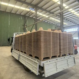 Food and Pharmaceutical Grade Molded Wood Pallets — Nail-Free, Splinter-Free, Safe, and Eco-Friendly thumbnail-4