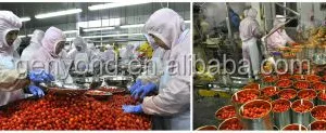 Strawberry Jam Strawberry Jam Production Line Multifunctional Fruit Processing Machine thumbnail-5