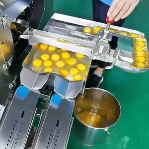 Shanghai Mini Size Egg Powder Production Line thumbnail-4