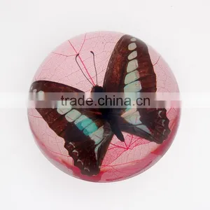 New Design Wholesale Paperweight With Real Butterfly thumbnail-5