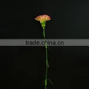 Good Quality Charming Bride Single Head Carnation Flower thumbnail-1