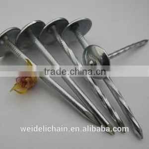 High Quality Roofing Nails/umbrella Roofing Nails/umbrella Head Roofing Nails thumbnail-5