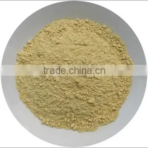 Ginger Powder Premium Factory Price thumbnail-1