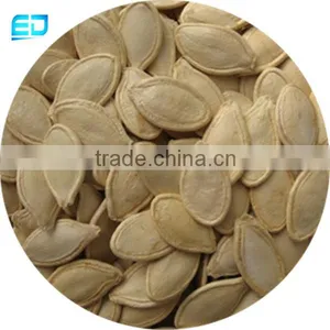 Shine Skin Pumpkin Seeds Organic Certified for EU/ USDA thumbnail-2