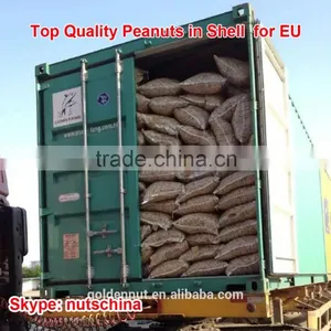 Chinese Red Skin Peanuts 50/60 Shandong FOR MACEDONIA /ALBANIA/NETHERLAND/TUNISIA thumbnail-3