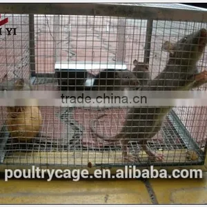 PVC Coated Mouse Catch Trap Cage And Mouse Cage Design thumbnail-6