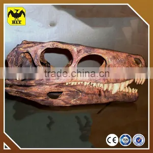 Museum Quality Life Size Fiberglass Dinosaur Skeleton thumbnail-2