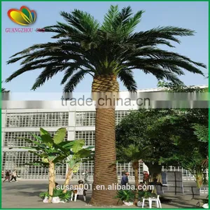 China Supplier Artificial Date Plam Tree thumbnail-1