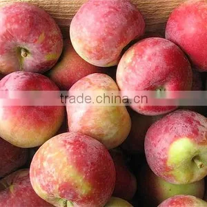 Fresh Apples, Canned Fruits, Canned Pineapple thumbnail-1