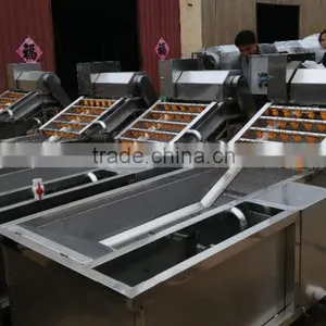 Video of SS304 Bubble Tomato Washing Machine and Washer Fruit/ Bulk Washing Machines thumbnail-2