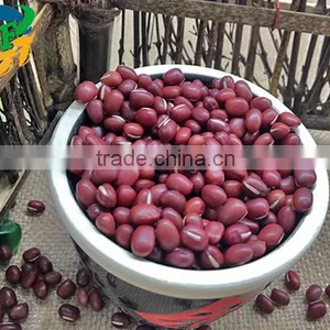 Chinese New Crop Red Adzuki Bean thumbnail-3