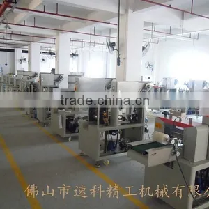 Pillow Packing Machine SZ-250D thumbnail-5