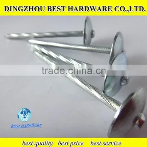 Flat Roofing Nail Type thumbnail-1