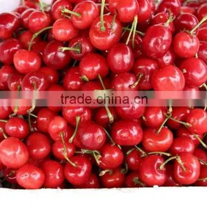 Bagged 18 Degree Sugar Content of China Fresh Cherries thumbnail-4