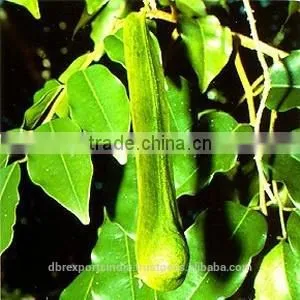 Balsam Peru Oil thumbnail-1