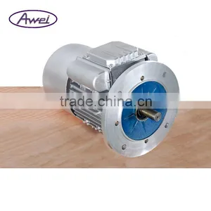 AOWEI Induction Motor Not Magnetic Motor thumbnail-1