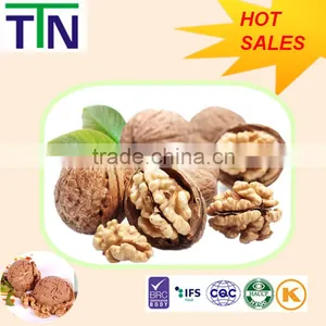 TTN New Harvest Wholesale Shelled Walnut Prices thumbnail-1