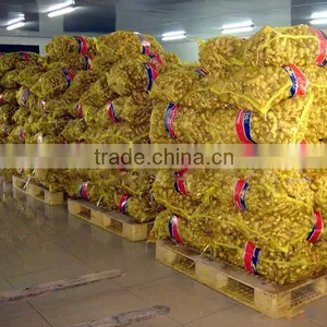 Sand Ginger at Dried Ginger Export Prices thumbnail-3